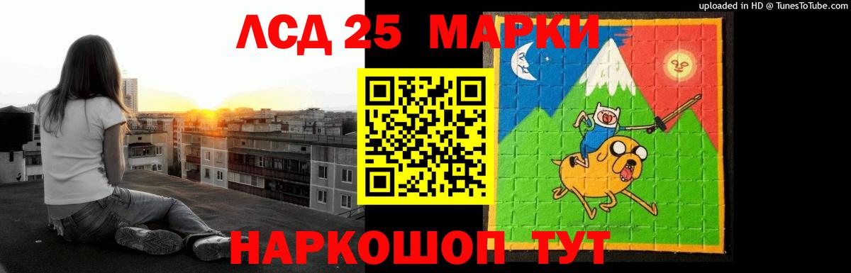 omg вход  Вход с VPN  LSD-25 экстази ecstasy  Новый Уренгой  ЛСД экстази ecstasy 