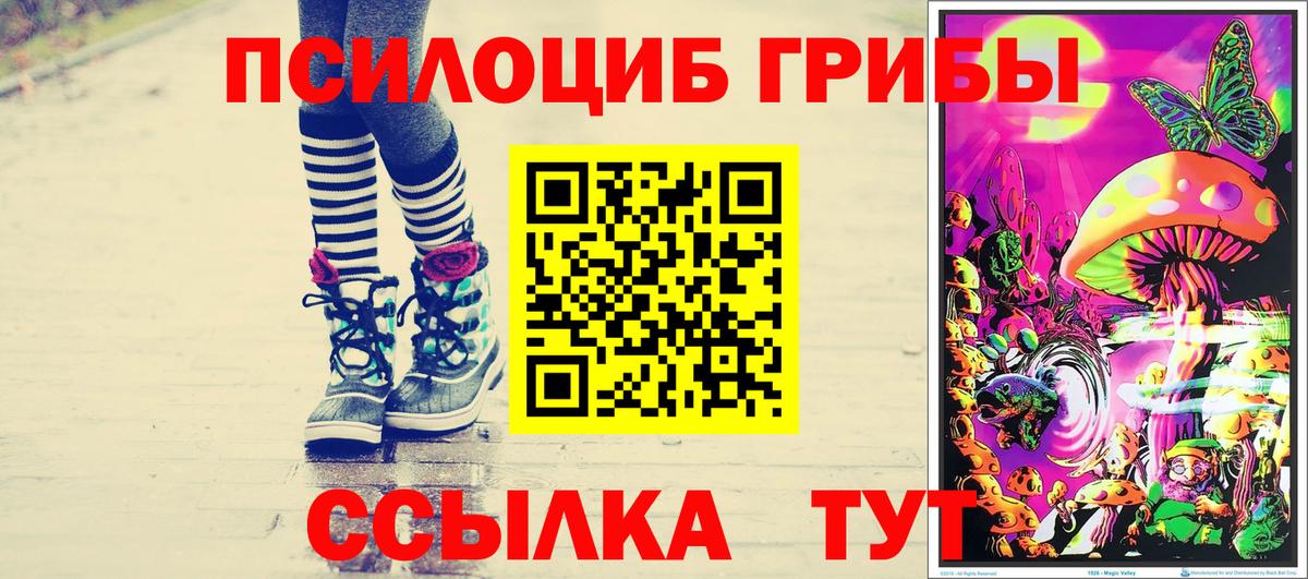 где купить наркоту  Псилоцибиновые грибы ЛСД  Вход с VPN  Галлюциногенные грибы ЛСД  Новый Уренгой 
